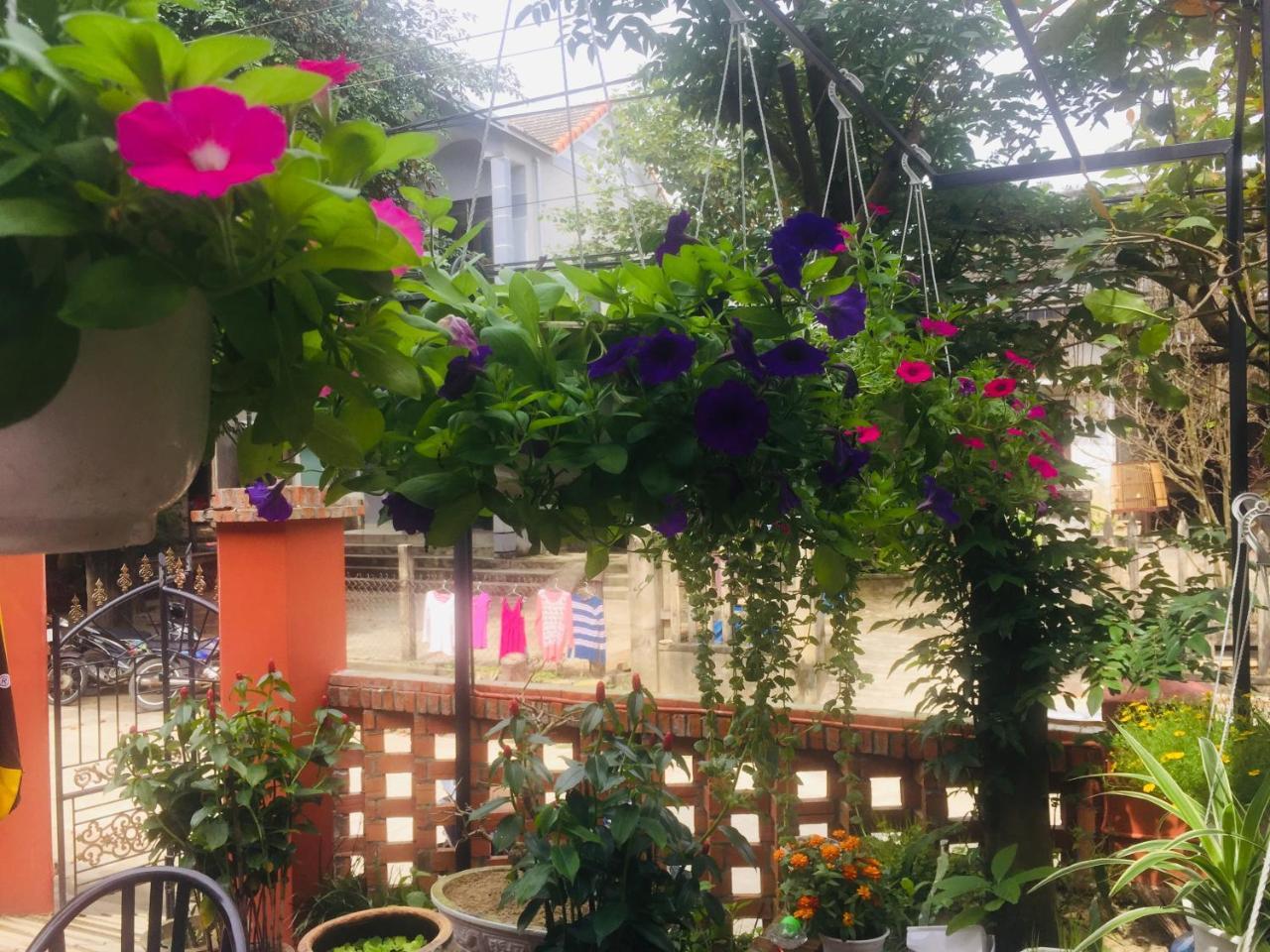 New Destination Hoi An 아파트 외부 사진